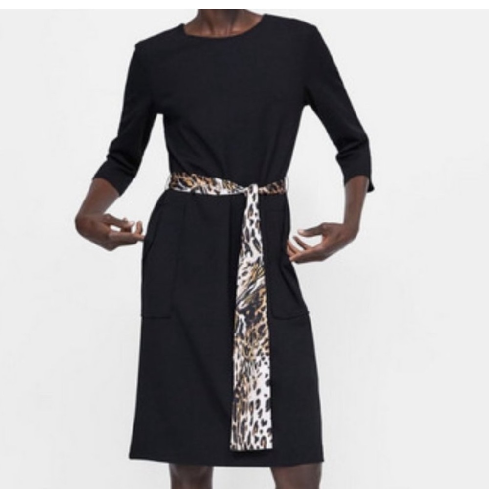 Zara dress